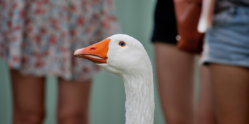 Archaeologists Found a 12,000-Year-Old Figurine of a Woman Hooking Up With a Goose