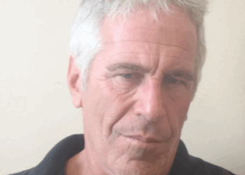 One major Jeffrey Epstein connection is flying under the radar: analysis