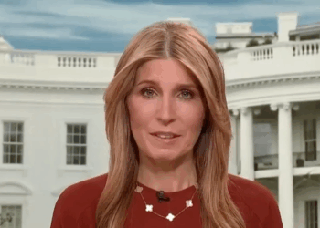 Nicolle Wallace shuts down key Trump claim about the economy