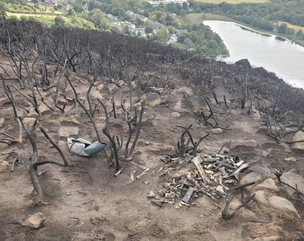 A pile of bones was discovered at Holyrood Park in Scotland after a wildfire.