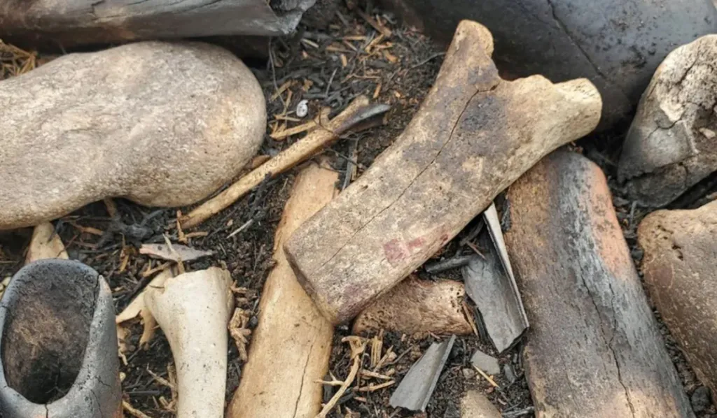 The remains were found on Crow Hill near Arthur's Seat in Edinburgh