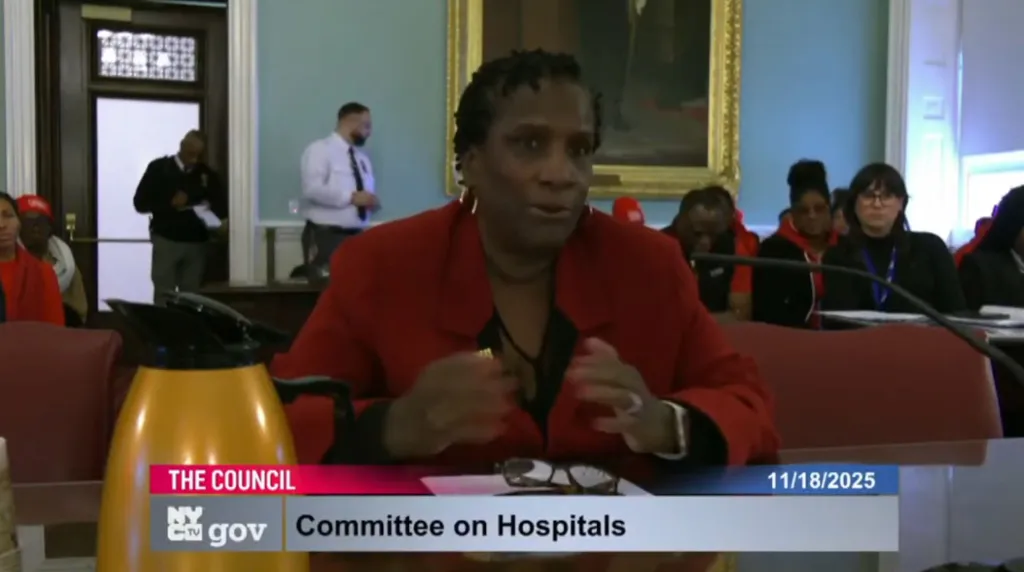 Nancy Hagans, New York State Nurses Association President, speaking at a Committee on Hospitals meeting.