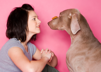 Scientists Say Your Pet Might Actually Be Neurodivergent