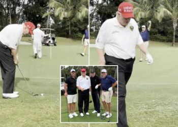 Trump sinks impressive chip shot in viral video after latest Biden golf jab: ‘Winning is always nice!’