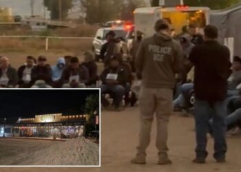 Idaho bar offers free beer to patrons who help ICE deport illegal immigrants