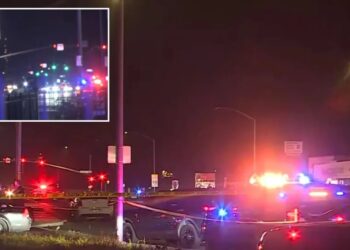 At least 4 dead, 10 wounded in mass shooting at California family gathering: officials