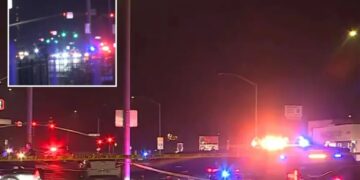 At least 4 dead, 10 wounded in mass shooting at California family gathering: officials