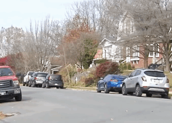 Dog Accidentally Shoots and Injures a Pennsylvania Man, Police Say