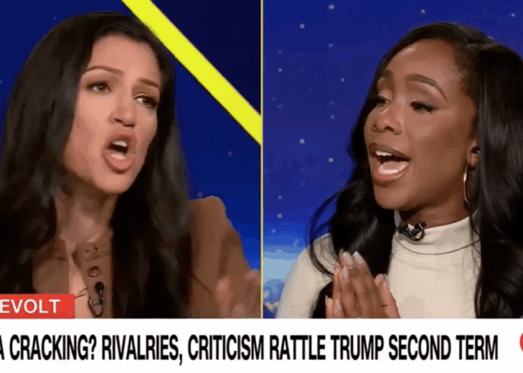 ‘Excuse me!’: CNN panel erupts as Stephen Miller’s wife clashes with CNN host