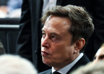 Musk Is Back in Politics. Does He Want to Stay a While?