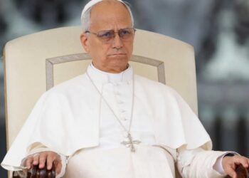 ‘Poisonous to the church’: Ex-Republican highlights pope’s reluctant stand against Trump