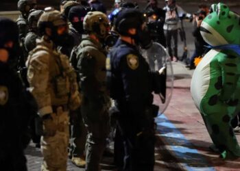 This plague of frogs tells us something hopeful about resistance to Trump