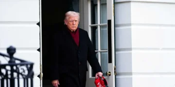 ‘He’s taken their bait’: Strategist in awe as Trump falls into Democrats’ trap