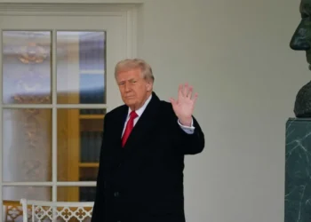 ‘This is unacceptable’: Trump’s niece calls out his ‘weak-kneed’ approach with Putin