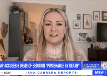 ‘Absolutely insane’: Ex-Trump staffer makes stunning 25th Amendment claim after new threat