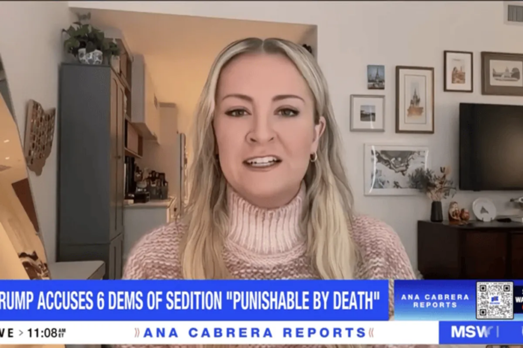 ‘Absolutely insane’: Ex-Trump staffer makes stunning 25th Amendment claim after new threat