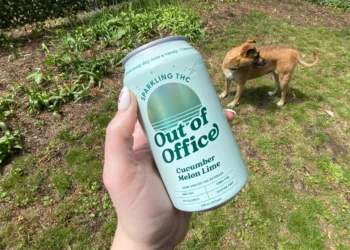 List of THC Products That Might Be Banned in 2026: Gummies, Drinks, and Vapes to Watch