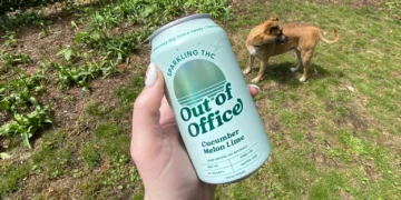 List of THC Products That Might Be Banned in 2026: Gummies, Drinks, and Vapes to Watch