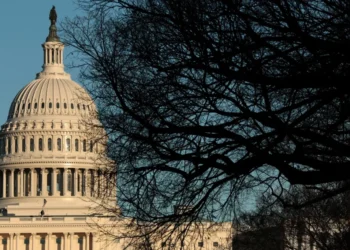 Republican staffer baselessly claims Capitol Police instructed against town halls