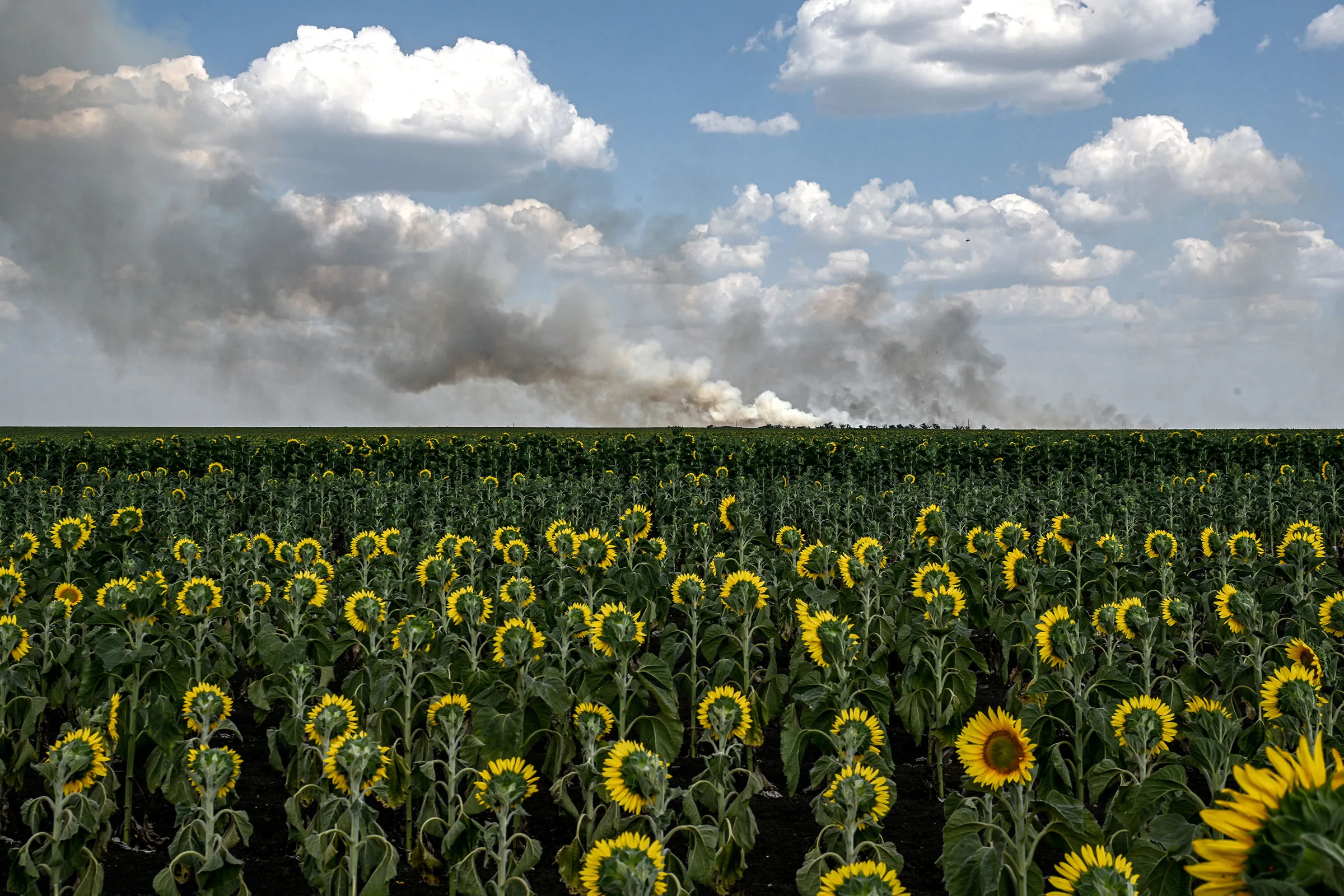 Russian army launches another attack on wheat fields in Zaporizhzhia