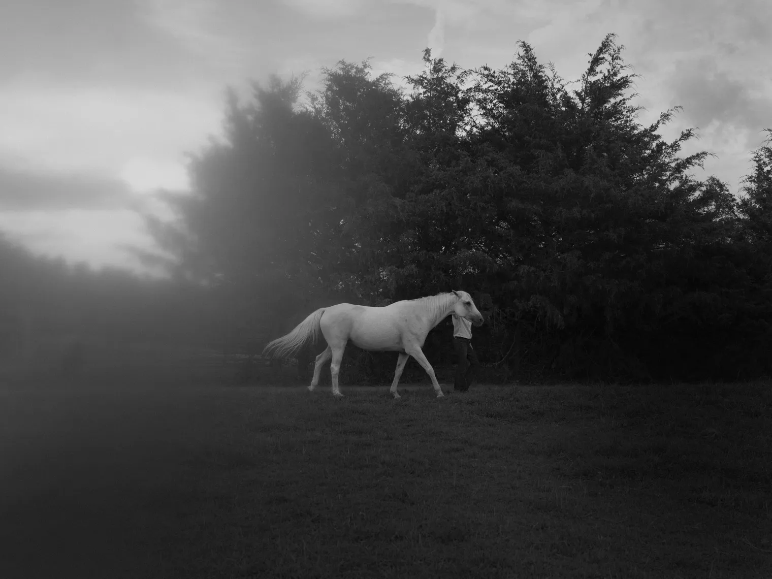 Sally Mann with her horse at home in Lexington, Va., Aug. 11, 2025. (Erinn Springer/The New York Times)