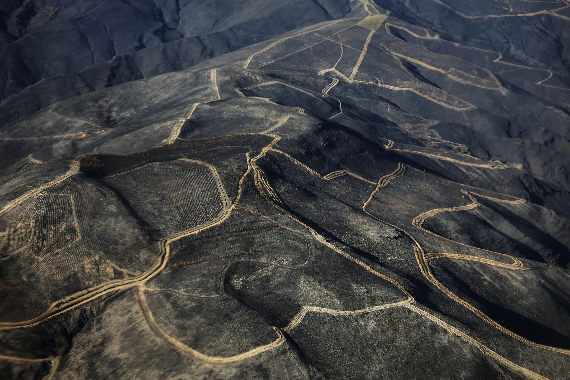 The Wider Image: Villagers struggle with aftermath of intense Iberian wildfires