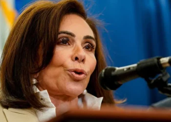 ‘Kiss the ground and thank God!’ Pirro erupts after Trump blamed for DC shooting
