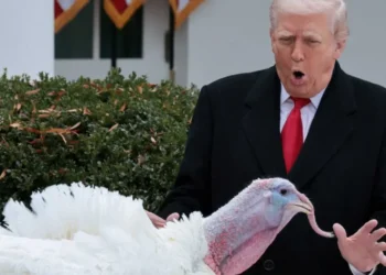 Trump’s ‘blueprint for chaos’ pushing America to the ‘breaking point’: political strategist