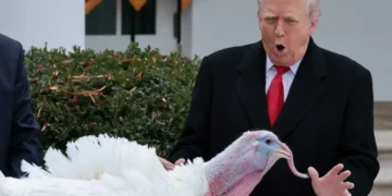 Trump’s ‘blueprint for chaos’ pushing America to the ‘breaking point’: political strategist