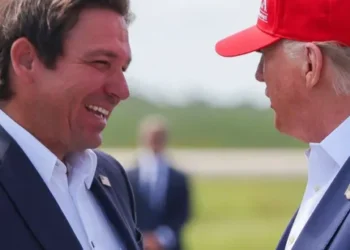 MAGA mom’s bid to create ‘Trump County’ may cause headache for red state governor: report