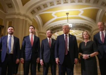 ‘Appalling spectacle’: Ex-GOP insider accuses Republican senators of being ‘compromised’