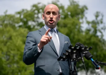 ‘Shameful’: Experts condemn Stephen Miller’s xenophobic hysterics after DC shooting