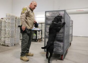 Big changes to the agency charged with securing elections lead to midterm worries