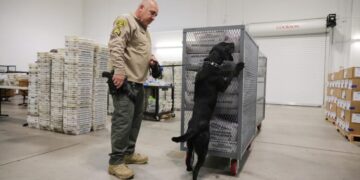 Big changes to the agency charged with securing elections lead to midterm worries