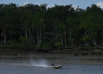 Railway project in the Amazon raises questions over Brazil’s efforts to stop deforestation