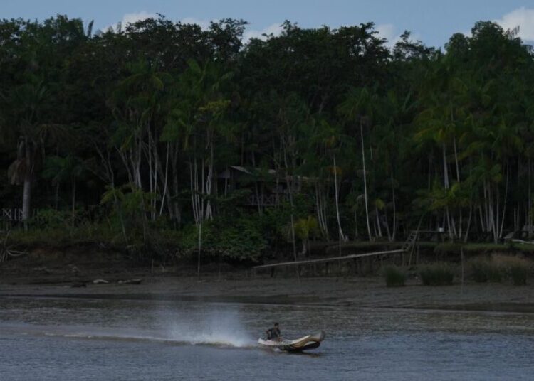 Railway project in the Amazon raises questions over Brazil’s efforts to stop deforestation