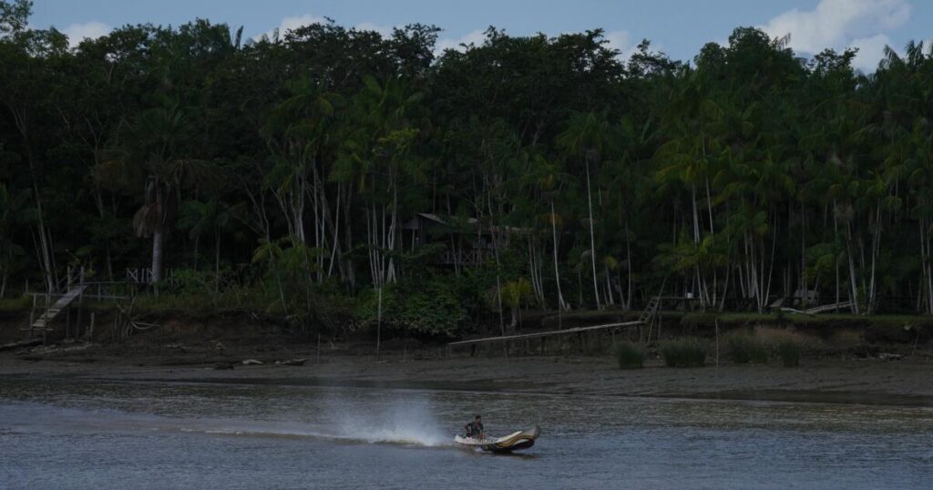 Railway project in the Amazon raises questions over Brazil’s efforts to stop deforestation