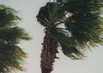 Santa Ana winds expected Sunday night