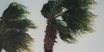 Santa Ana winds expected Sunday night