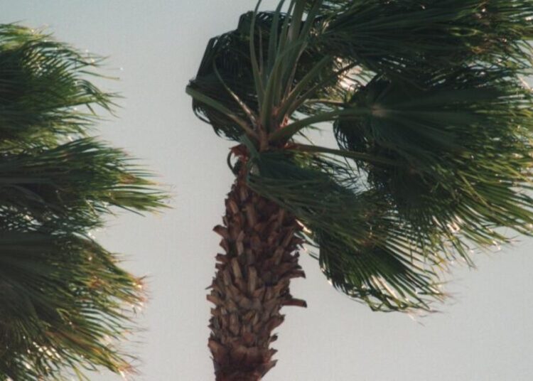 Santa Ana winds expected Sunday night