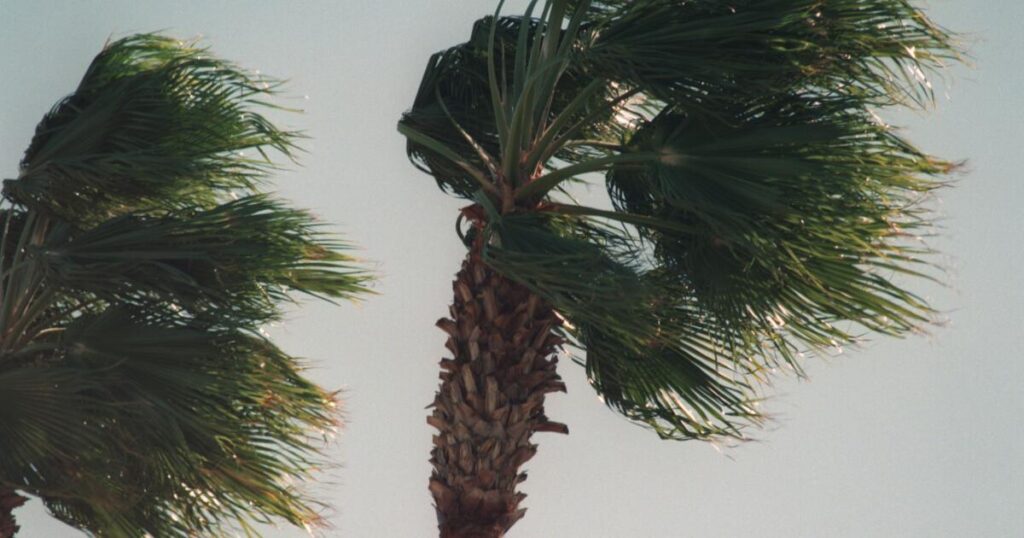 Santa Ana winds expected Sunday night