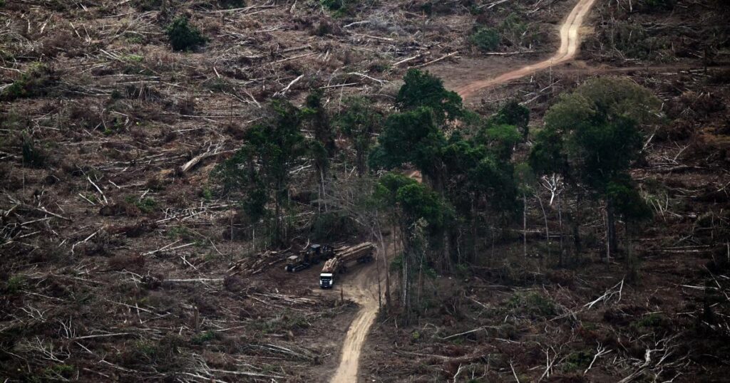 An Amazon climate summit built on contradiction, creating unease for California delegates