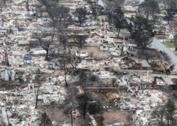 She died in the Eaton fire. Her family says emergency alert software was to blame