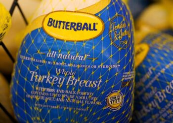 Thief steals Thanksgiving turkeys meant for hundreds of needy families