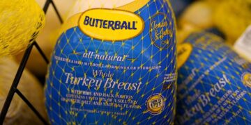 Thief steals Thanksgiving turkeys meant for hundreds of needy families
