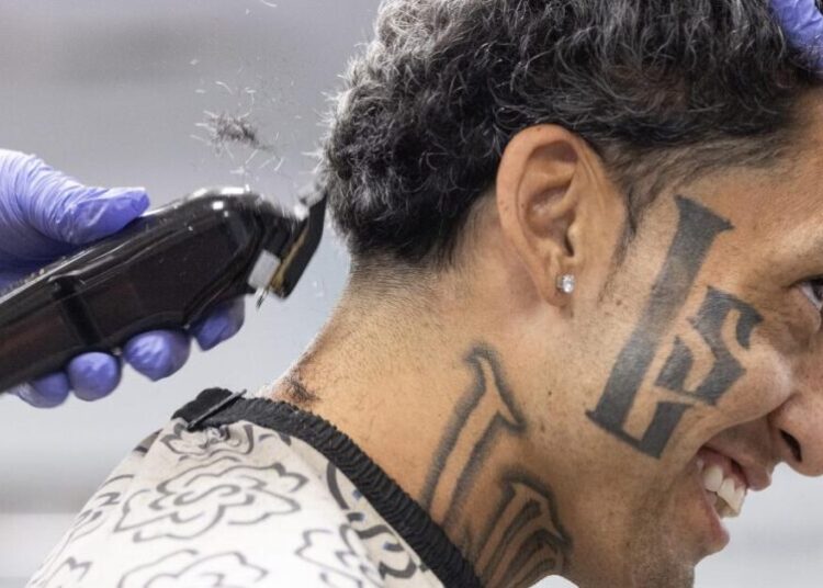 After deterring homeless people with ‘Baby Shark’ song, a barber offers free Thanksgiving trims