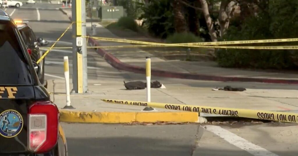 SoCal 13-year-old is killed as he and his brother are walking to school; driver flees