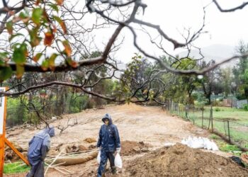 FEMA acting chief departs after six months on the job, officials say