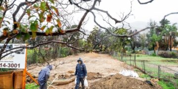 FEMA acting chief departs after six months on the job, officials say