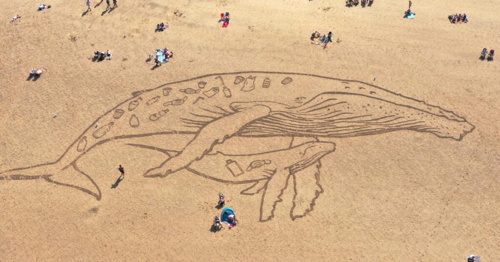 How little plastic does it take to kill marine animals? Scientists have answers